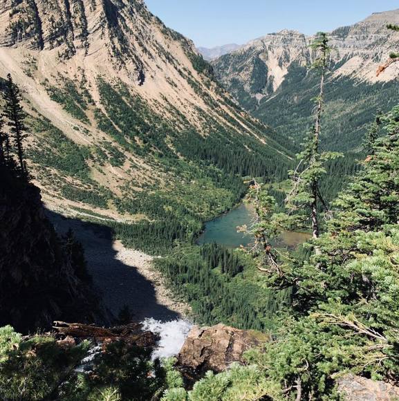 Meet your Posher, Jami - Picture 1 of 1